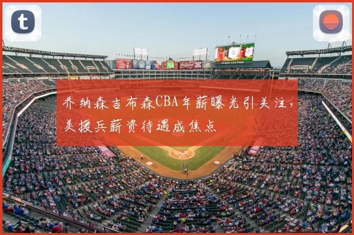 乔纳森吉布森CBA年薪曝光引关注，美援兵薪资待遇成焦点