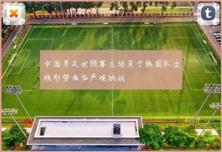中国男足世预赛主场负于韩国队出线形势面临严峻挑战