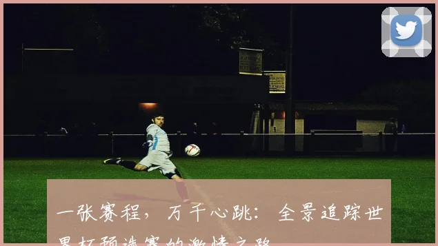 一张赛程，万千心跳：全景追踪世界杯预选赛的激情之路